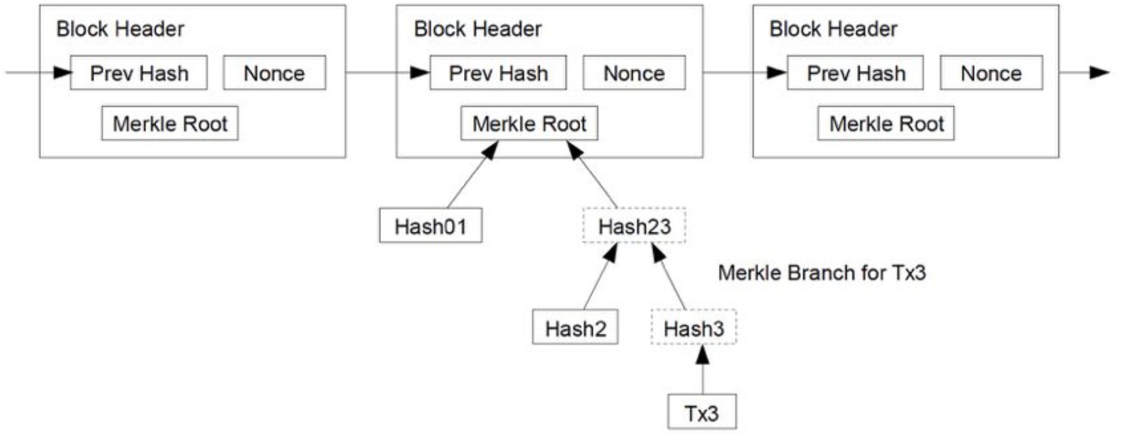 merkle-root